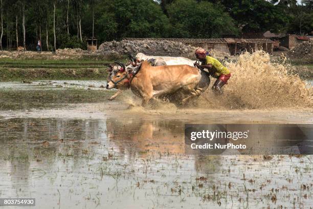 The race of theMoichara take place during the beginning of monsoon in a village near Namkhana, west Bengal. Moichhara means ladder on the field and...