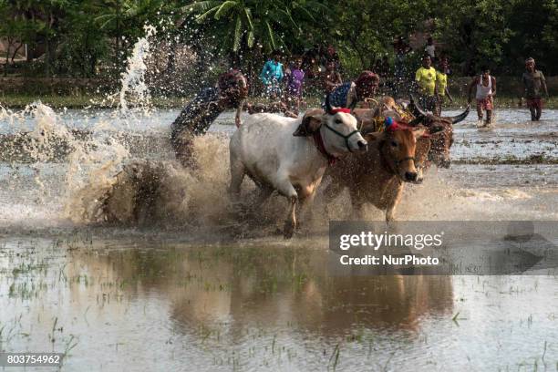 The race of theMoichara take place during the beginning of monsoon in a village near Namkhana, west Bengal. Moichhara means ladder on the field and...