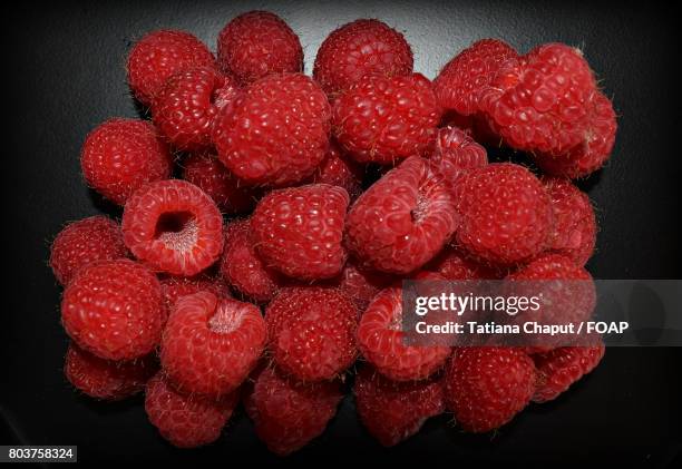 Bm Black Raspberry 449 Black Raspberries Stock Photos, High-Res Pictures, and Images ...