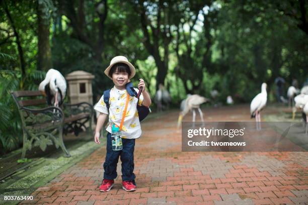 asian toddler boy in field trip to bird park. - jurong bird park bildbanksfoton och bilder