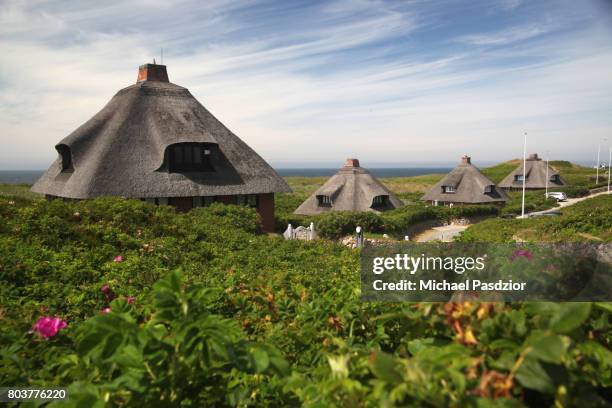thatched houses - sylt stock-fotos und bilder