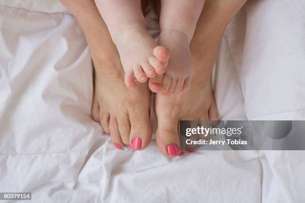 baby feet with adult feet - tobias materna imagens e fotografias de stock