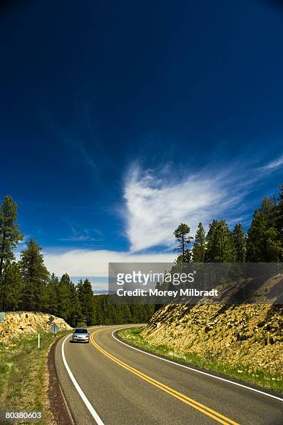 state route 67, kaibab plateau, arizona - kaibab national forest stock pictures, royalty-free photos & images