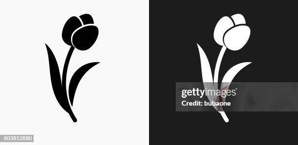 stockillustraties, clipart, cartoons en iconen met tulip pictogram op zwart-wit vector achtergronden - tulips