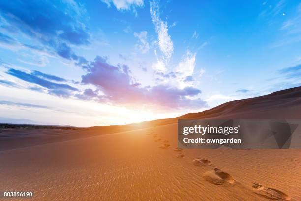 kumtag desert at sunrise,xinjiang,china - silk china stock pictures, royalty-free photos & images