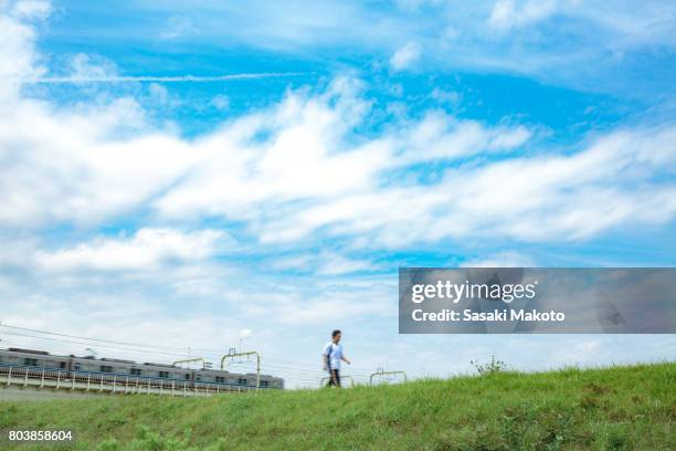 people and trains passing by during daytime in summer - rive photos et images de collection