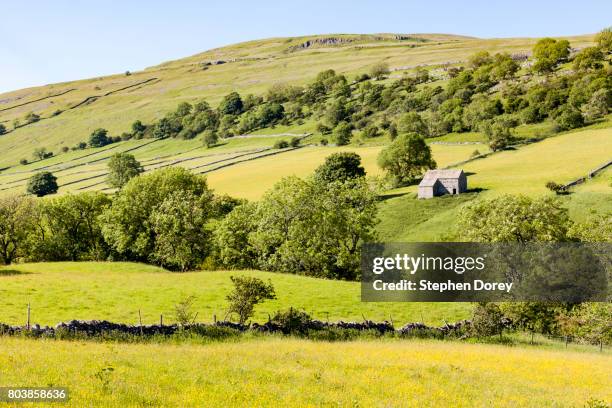 summer in the yorkshire dales - a typical stone barn in upper wharfedale near the village of hubberholme, north yorkshire uk - wharfdale stock pictures, royalty-free photos & images