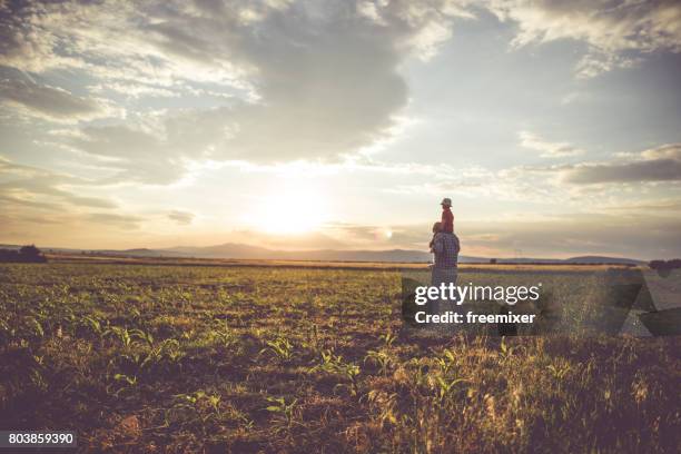 boerderij landschap - farm family stockfoto's en -beelden