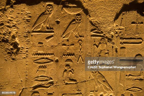 luxor temple - hieroglyphics stockfoto's en -beelden