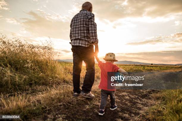 hold my hand and come with me - multi generation family from behind stock pictures, royalty-free photos & images