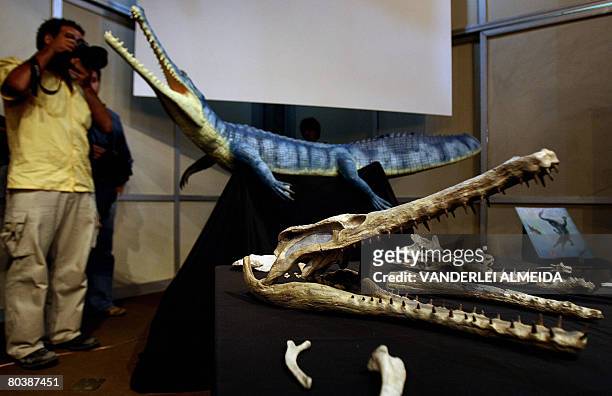 Replica and some fossil bones of a 62 million year-old crocodyliform is presented to the press at the Museum of National History in Rio de Janeiro,...