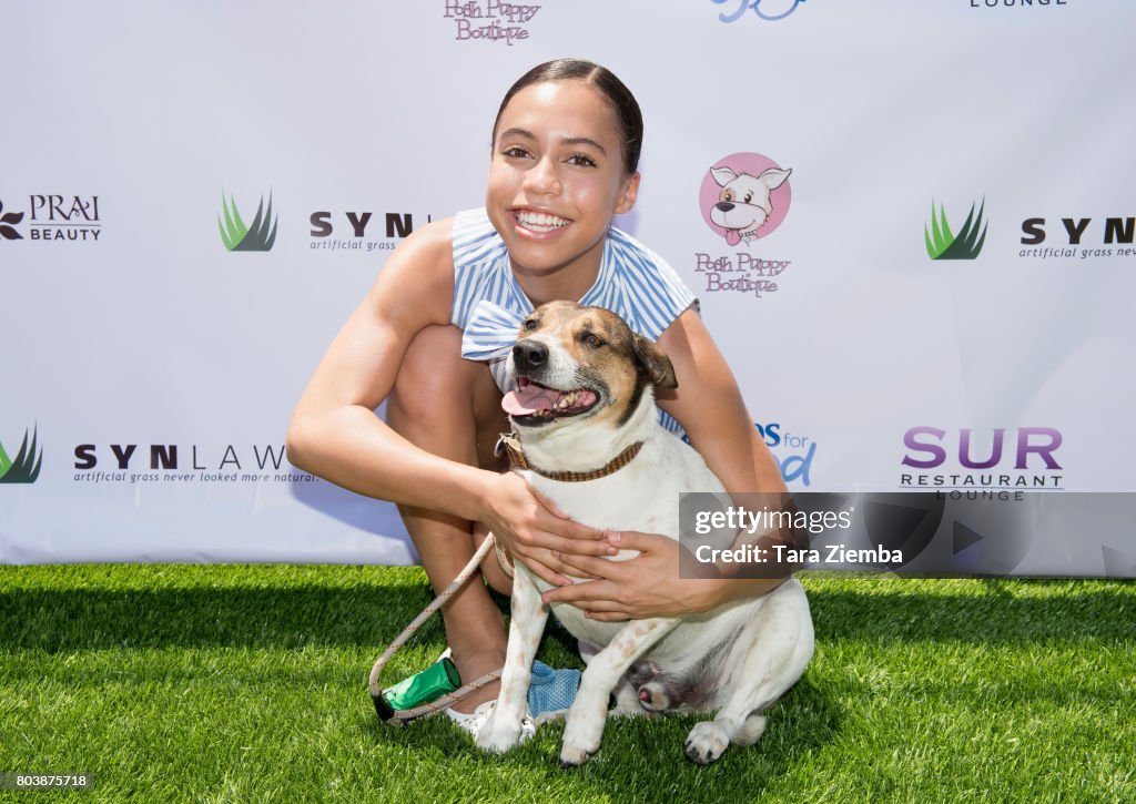 2nd Annual World Dog Day - Arrivals