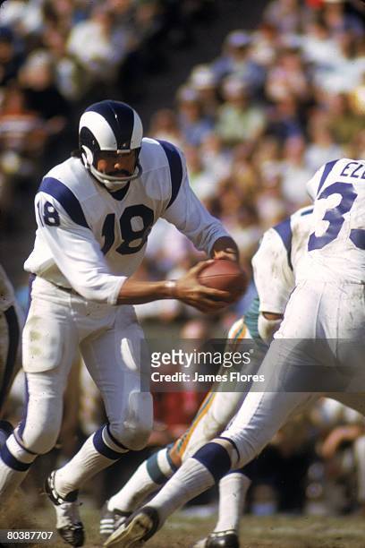 Quarterback Roman Gabriel of the Los Angeles Rams turns to handoff against the Miami Dolphins at the Los Angeles Memorial Coliseum on October 31,...