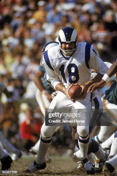 Quarterback Roman Gabriel of the Los Angeles Rams turns to handoff against the Miami Dolphins at the Los Angeles Memorial Coliseum on October 31,...