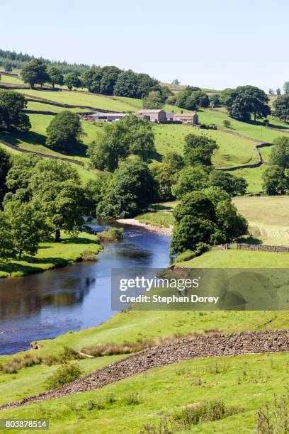 summer in the yorkshire dales national park - the river wharfe above barden bridge in wharfedale, north yorkshire uk - wharfdale stock pictures, royalty-free photos & images