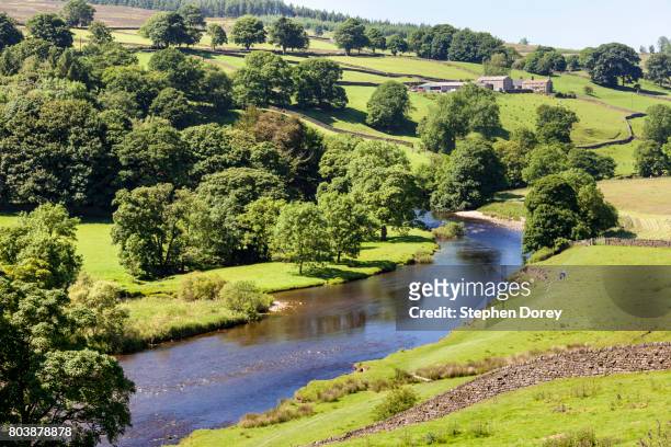 summer in the yorkshire dales national park - the river wharfe above barden bridge in wharfedale, north yorkshire uk - wharfdale stock pictures, royalty-free photos & images