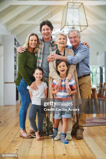son una familia unida - familia multigeneracional fotografías e imágenes de stock