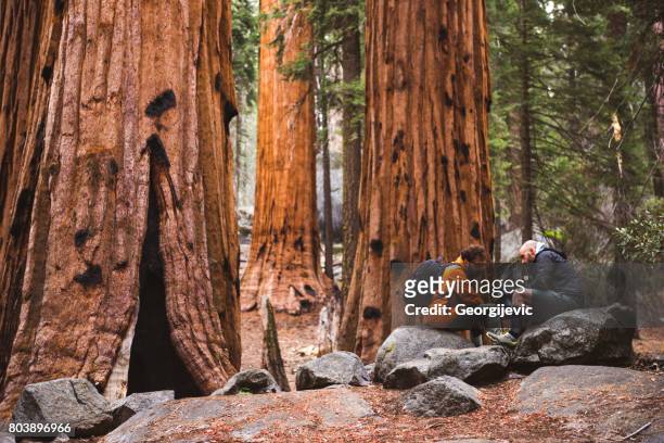 享受大自然 - sequoia national park 個照片及圖片檔