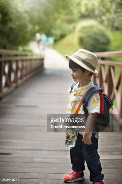 asian toddler in filed trip. - jurong bird park - fotografias e filmes do acervo