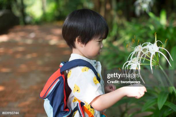 asian toddler boy curious of a tropical flowering plant. - jurong bird park - fotografias e filmes do acervo