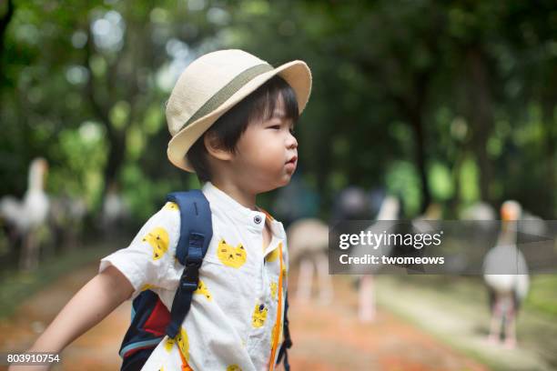 asian toddler in filed trip to bird park. - jurong bird park stock pictures, royalty-free photos & images