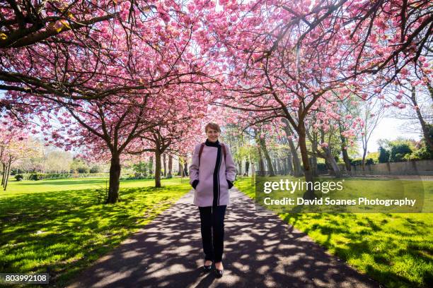 cherry blossoms in herbert park in dublin, ireland - life and landmarks in the irish capital of dublin fotografías e imágenes de stock