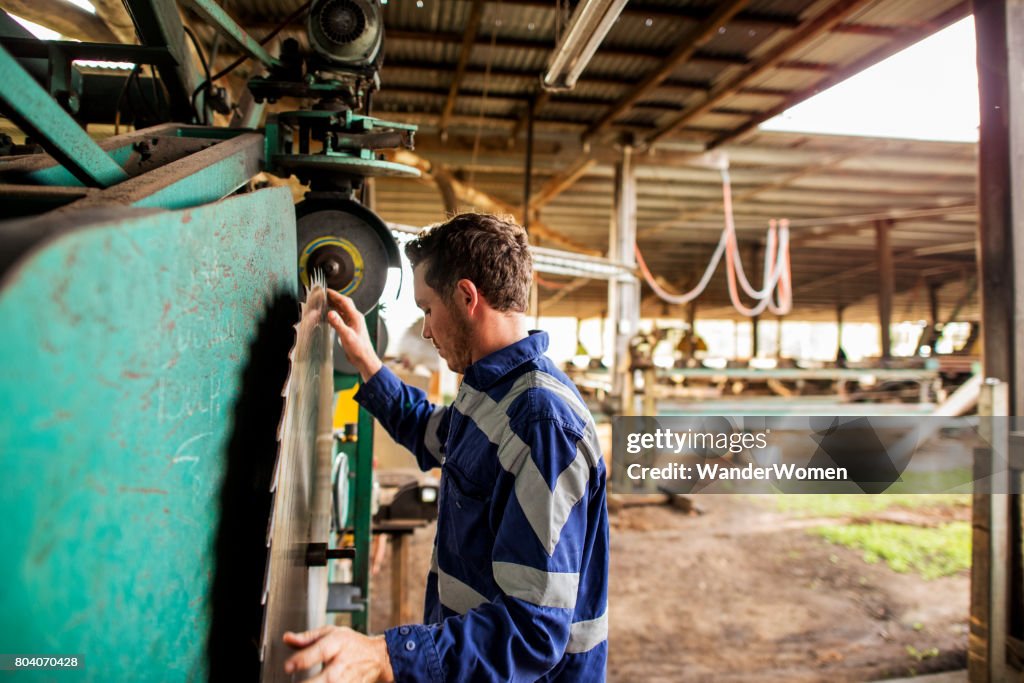 Australian worker at sawmill using machinery