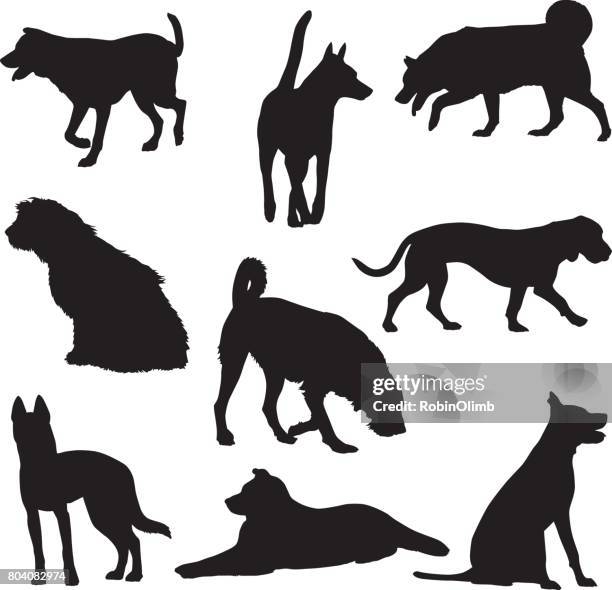 ilustrações de stock, clip art, desenhos animados e ícones de nine dog silhouettes - mixed breed dog