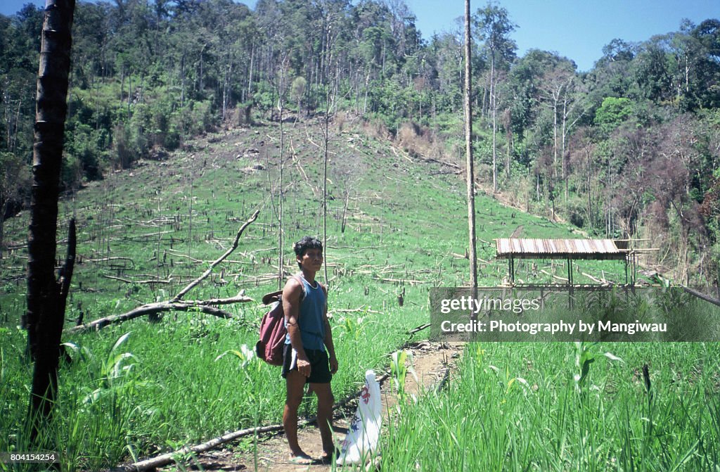 Mountain Rice