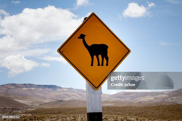 lama attention sign - arequipa stock-fotos und bilder