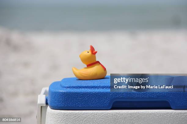 rubber duck at the beach on cooler - cooler foto e immagini stock