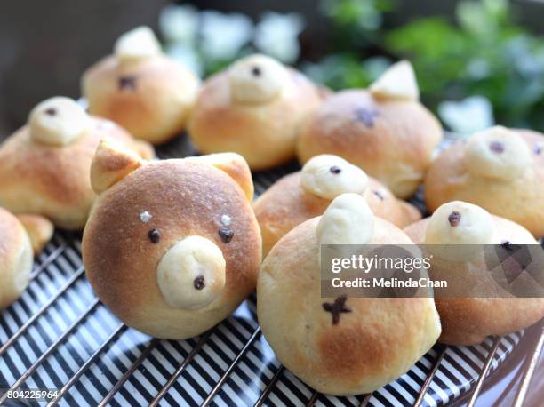 shiba inu dog shape bread - macao stock pictures, royalty-free photos & images