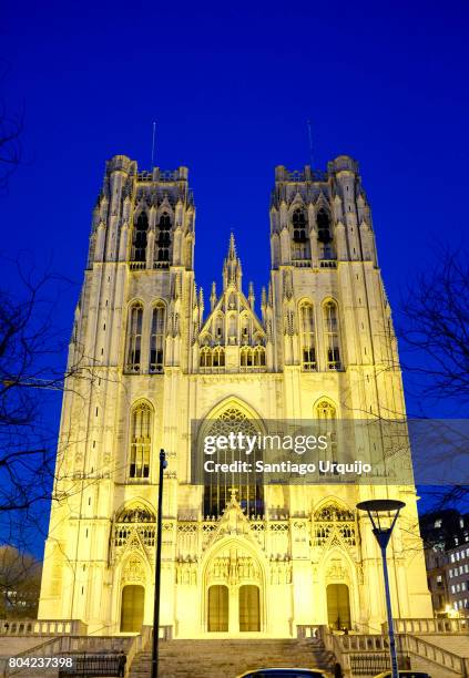 cathedral of st. michael and st. gudula in brussels - cathedral of st michael and st gudula stock pictures, royalty-free photos & images