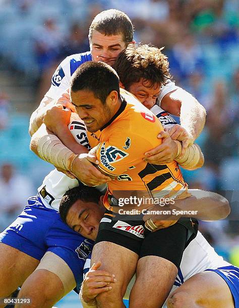 Dene Halatau of the Tigers is tackled during the round three NRL match between the Bulldogs and the Wests Tigers at ANZ Stadium on March 30, 2008 in...