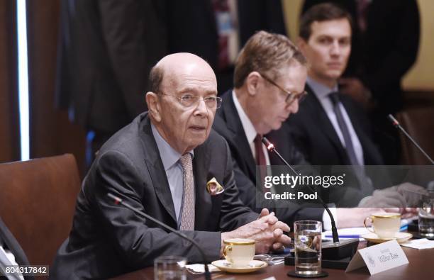 Commerce Secretary Wilbur Ross speaks during a meeting between U.S President Donald Trump and South Korean President Moon Jae-in in the Cabinet Room...