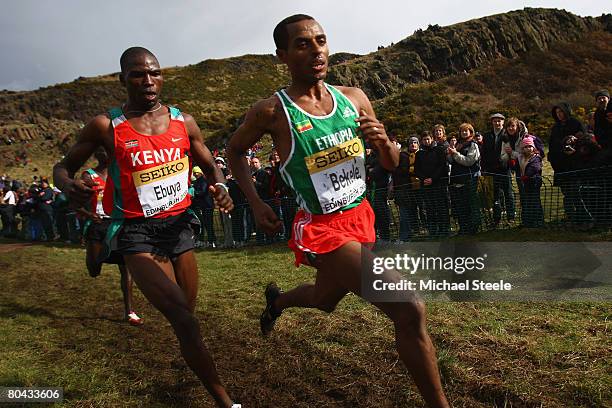 Kenenisa Bekele of Ethiopia on his way to victory and his sixth overall world cross title in the men's elite race, during the 36th IAAF World Cross...