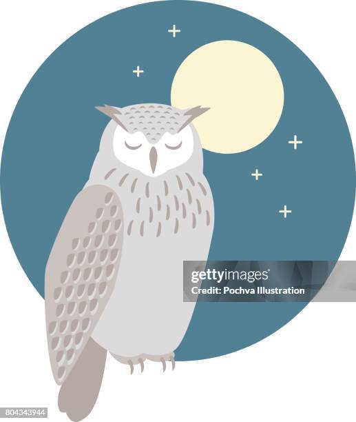 bildbanksillustrationer, clip art samt tecknat material och ikoner med sovande uggla - owl