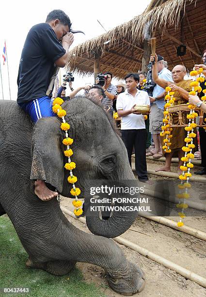 Elephant Welcome Ritual 150 Elephant Blessing Ceremony Stock Photos, High-Res Pictures, and ...