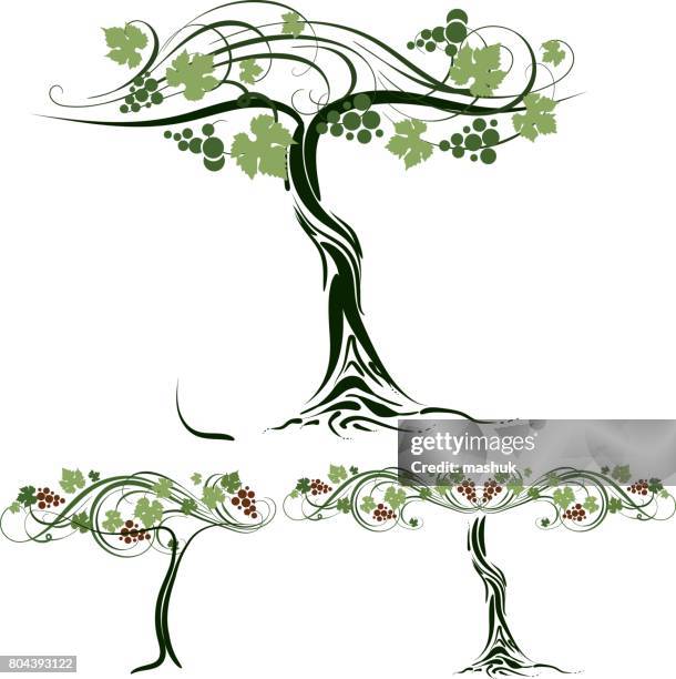 grape - grape tree stock illustrations
