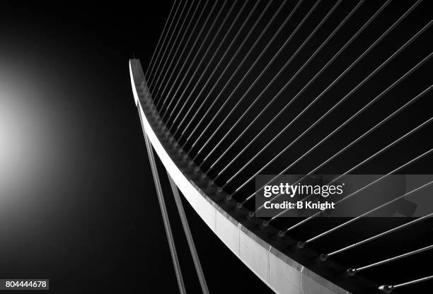 el jaminero - high contrast stock pictures, royalty-free photos & images