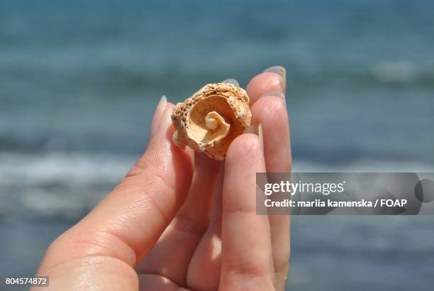 156 Hand Holding Conch Shell Stock Photos, High-Res Pictures, and ...