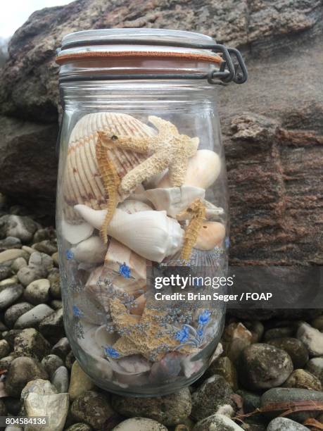 Se Shell Jar 174 A Jar Of Seashells Stock Photos, High-Res Pictures, and Images ...