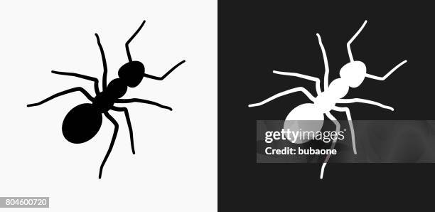 770点のアリイラスト素材 Getty Images 770点のアリイラスト素材 Getty Images