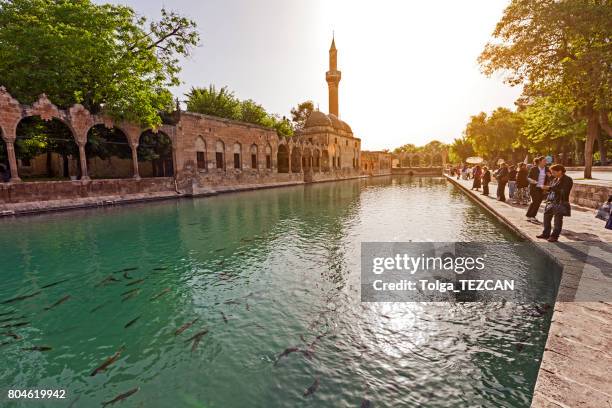 halil-ur rahman mosque and the fish lake - şanlıurfa stock pictures, royalty-free photos & images