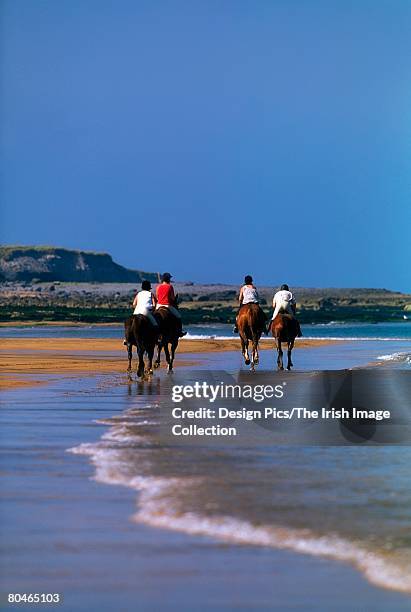 pony trekking, fanore, co clare, ireland - trail riding stock pictures, royalty-free photos & images