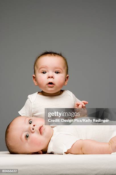 two adorable babies - baby studio shot stock pictures, royalty-free photos & images