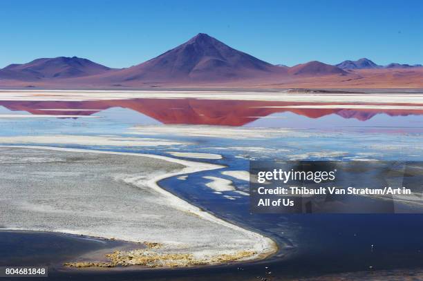 Spectacular mirror view of Laguna Colorada with its flamingoes, Reserva Eduardo Avaroa on November, 2017 in Bolvian Desert.