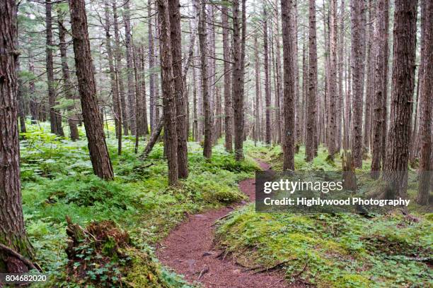 enjoy the curves life throws at you - skagway stock-fotos und bilder