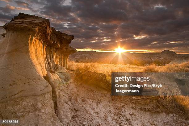 hoodoos at sunset in dinosaur provincial park, alberta, canada   - dinosaur provincial park foto e immagini stock