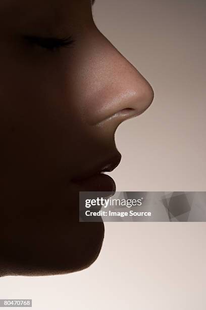 a womans nose illuminated - human nose stockfoto's en -beelden